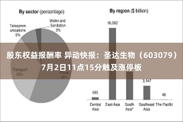 股东权益报酬率 异动快报：圣达生物（603079）7月2日11点15分触及涨停板