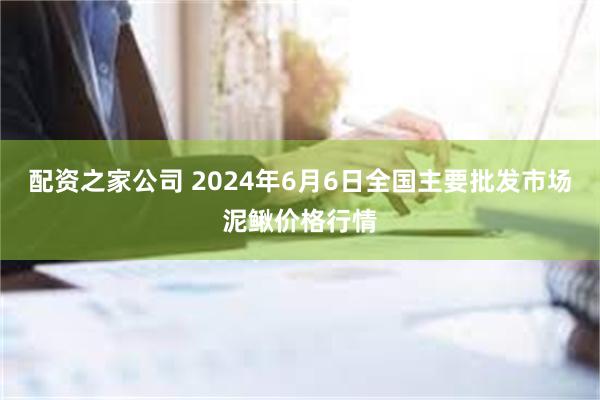 配资之家公司 2024年6月6日全国主要批发市场泥鳅价格行情