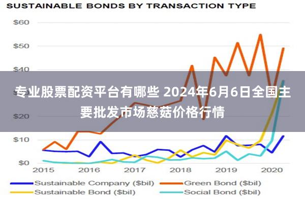 专业股票配资平台有哪些 2024年6月6日全国主要批发市场慈菇价格行情