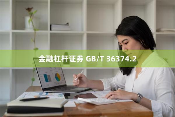 金融杠杆证券 GB/T 36374.2