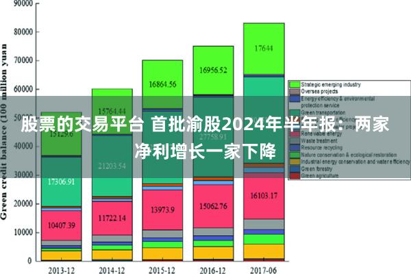 股票的交易平台 首批渝股2024年半年报：两家净利增长一家下降