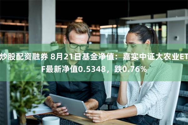 炒股配资融券 8月21日基金净值：嘉实中证大农业ETF最新净值0.5348，跌0.76%