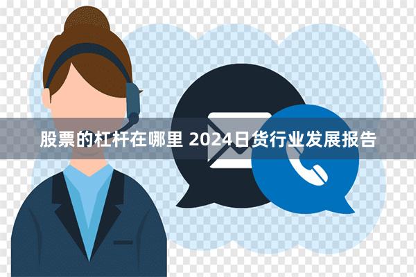 股票的杠杆在哪里 2024日货行业发展报告