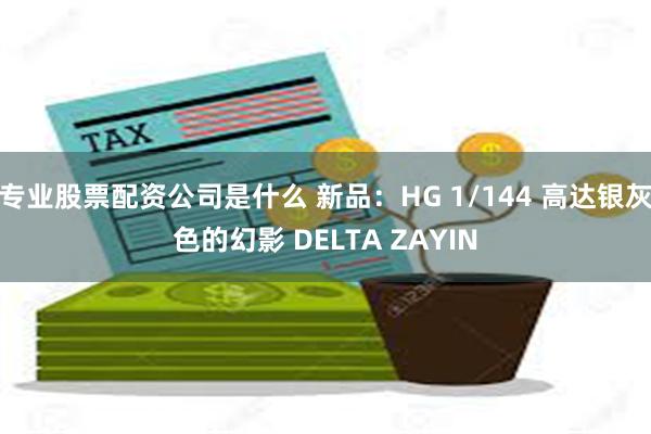 专业股票配资公司是什么 新品：HG 1/144 高达银灰色的幻影 DELTA ZAYIN