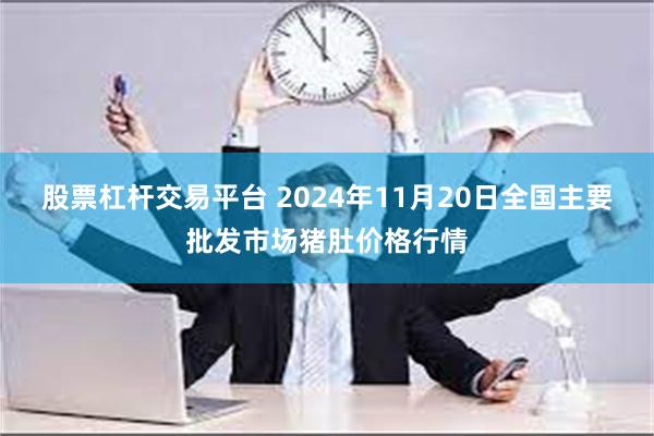 股票杠杆交易平台 2024年11月20日全国主要批发市场猪肚价格行情