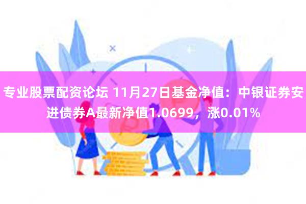 专业股票配资论坛 11月27日基金净值：中银证券安进债券A最新净值1.0699，涨0.01%