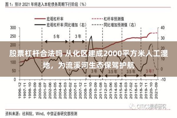 股票杠杆合法吗 从化区建成2000平方米人工湿地，为流溪河生态保驾护航