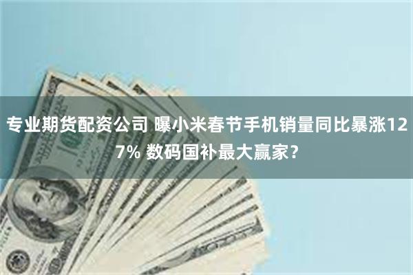 专业期货配资公司 曝小米春节手机销量同比暴涨127% 数码国补最大赢家？