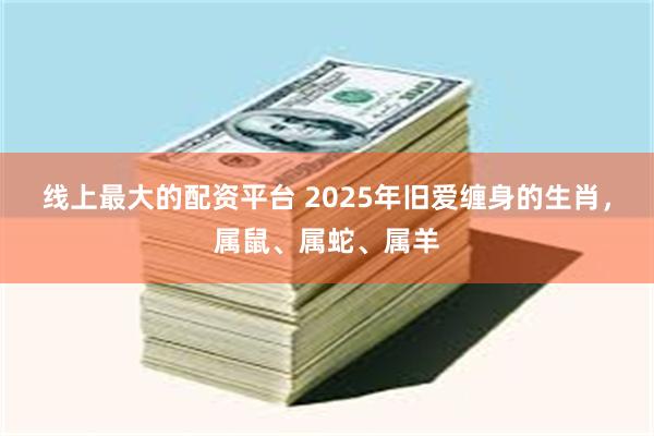 线上最大的配资平台 2025年旧爱缠身的生肖，属鼠、属蛇、属羊