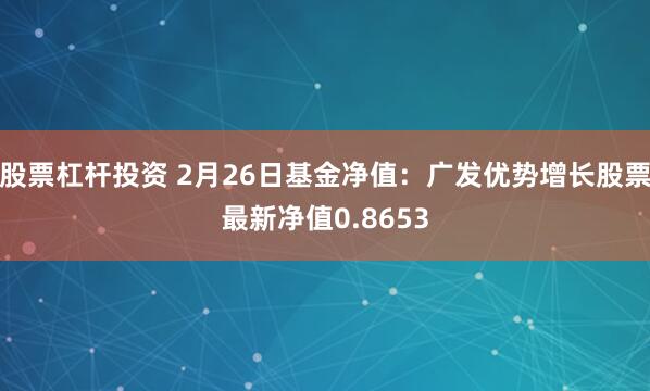 股票杠杆投资 2月26日基金净值：广发优势增长股票最新净值0.8653